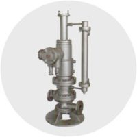 Gas Seal Slurry Typeปั๊มมอเตอร์แบบกระป๋อง | ซีฟลูอิด
